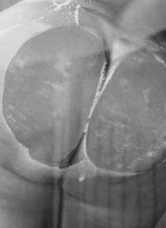 Heidi ♡ - escort in Yokosuka Photo 4 of 5