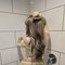 Heidi Good Top (New Here) - Acompañantes transexual in Al Manama Photo 2 of 9