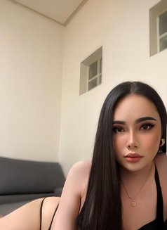 Heidi Phuket Both 69 🇹🇭 (New) - Transsexual escort in Dammam Photo 19 of 28