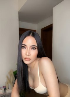 Heidi Phuket Both 69 🇹🇭 (New) - Transsexual escort in Dammam Photo 24 of 28