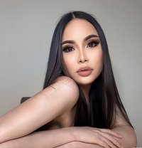 Heidi Phuket Both 69 🇹🇭🇸🇦 - Transsexual escort in Khobar