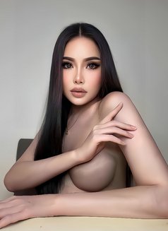 Heidi Phuket Both 69 🇹🇭🇸🇦 - Acompañantes transexual in Khobar Photo 1 of 12