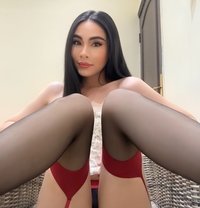 Heidi Thailand 🇹🇭 - Transsexual escort in Doha