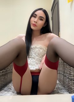 Heidi Thailand 🇹🇭 - Transsexual escort in Doha Photo 3 of 11