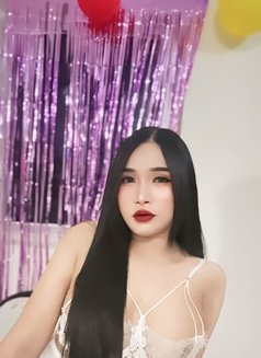 Thailand 🇹🇭 lady boy in doha - Transsexual escort in Doha Photo 2 of 6