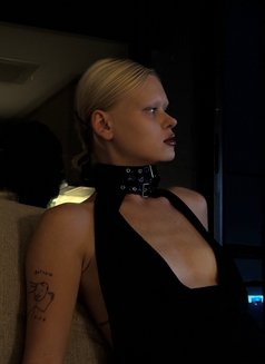 Mistress Helena Veronica - Dominadora in Bangkok Photo 2 of 6