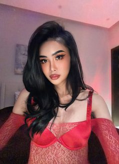 Ladyboy frome Phuket Available🏼🇹🇭 - Transsexual escort in Jeddah Photo 2 of 16