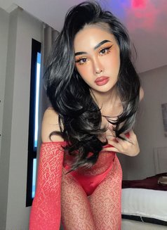 Ladyboy frome Phuket Available🏼🇹🇭 - Transsexual escort in Jeddah Photo 4 of 16