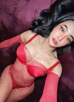 Ladyboy frome Phuket Available🏼🇹🇭 - Transsexual escort in Jeddah Photo 14 of 16