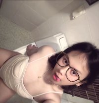 Hellocutieli - Acompañantes transexual in Seoul