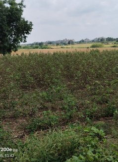 Hemanth - Male escort in Hyderabad Photo 1 of 2