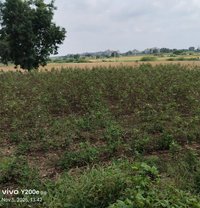 Hari - Male escort in Hyderabad