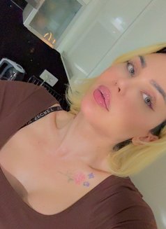 Hera Trans - Male escort in İstanbul Photo 3 of 11