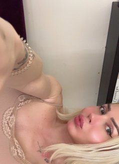 Hera Trans - Male escort in İstanbul Photo 14 of 14