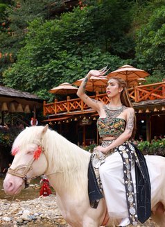 Here in okinawa till july 5 - Transsexual escort in Okinawa Island Photo 29 of 30