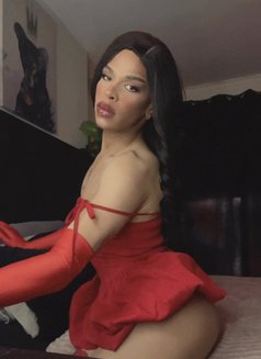 Here only for few days come en enjoy - Transsexual escort in Edinburgh Photo 7 of 11