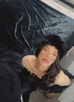 Here only for few days come en enjoy - Transsexual escort in Edinburgh Photo 10 of 11