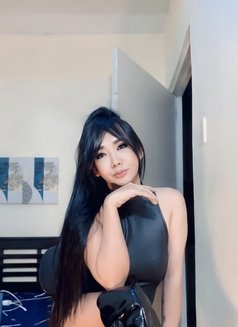 Hey Im Lyka Grey. Hook up and Camshow❤ - Transsexual escort in Manila Photo 13 of 16