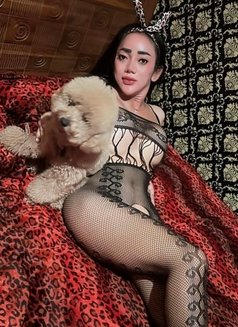 Hey There, I'm Ts LAURA FELICIA a Visito - Transsexual escort agency in Bali Photo 11 of 13