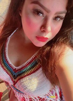 Hi Class Premium Models Options Avl - escort in Chennai Photo 3 of 3