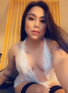 Hi Vell here, your TS in town.! - Transsexual escort in Riyadh Photo 9 of 19