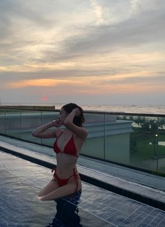 Hi Im Kate Young and Fresh Escort - escort in Manila Photo 3 of 4