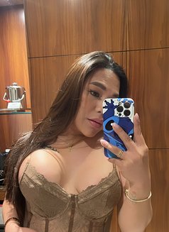 Hi VELL here, your TS in town.! - Transsexual escort in Abu Dhabi Photo 23 of 25