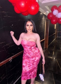 Hiafa Ladyboy big ass in Dubai - Transsexual escort in Dubai Photo 11 of 13