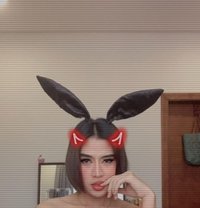 Hifa Ladyboy Thailand - Acompañantes transexual in Al Sohar