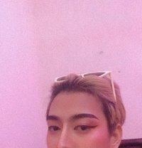 Hifa Ladyboy Thailand - Transsexual escort in Pattaya
