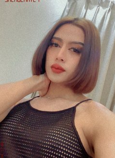 Hifa Ladyboy Thailand - Acompañantes transexual in Riyadh Photo 4 of 5