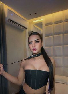 Hifa Ladyboy Thailand - Transsexual escort in Riyadh Photo 5 of 9