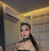 Hifa Ladyboy Thailand - Transsexual escort in Riyadh Photo 5 of 9