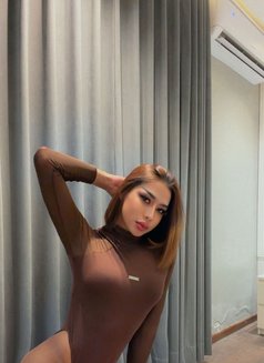 Hifa Ladyboy Thailand - Transsexual escort in Riyadh Photo 7 of 9