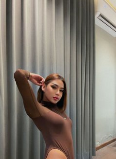 Hifa Ladyboy Thailand - Transsexual escort in Riyadh Photo 8 of 9