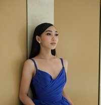 High class companion Ariana - Transsexual escort in Angeles City