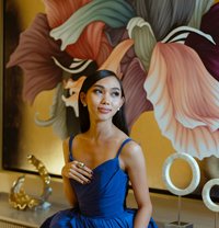 High class companion Ariana - Transsexual escort in Angeles City