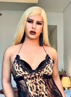 "KINKIEST "mistress Real&Hung - Transsexual escort in Kuala Lumpur Photo 10 of 28