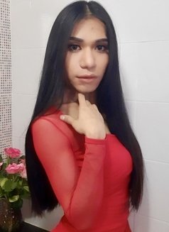 Ts Ladyboy Top Bottom Big Cock. - Transsexual escort in Bangkok Photo 7 of 8