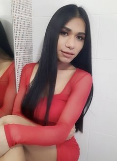 Ts Ladyboy Top Bottom Big Cock. - Transsexual escort in Bangkok Photo 8 of 8