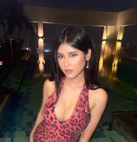 High Profile and Vip Escort - escort in Lucknow