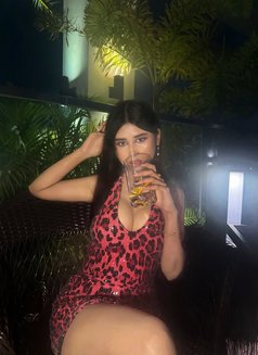 High' Profile and Vip Escort - escort in Lucknow Photo 4 of 4
