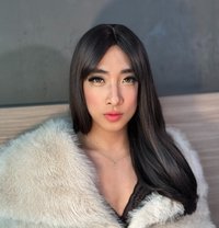 Hikaru/cd Fem Boy - Transsexual escort in Kuala Lumpur