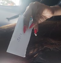 Himanshi! G.F.E*cosplay* escort - escort in Mumbai