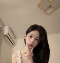 Himeki - Acompañantes transexual in Manila