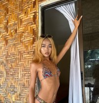 Kiara - Transsexual escort in Cebu City