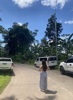 Reignxxx - Acompañante transexual in Davao Photo 12 of 16