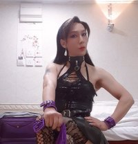 Hkcd Tiffany - Transsexual escort in Hong Kong
