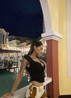Holly molly69 - Acompañantes transexual in Manila Photo 6 of 12