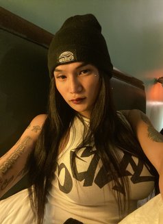 Holly molly69 - Acompañantes transexual in Manila Photo 11 of 12